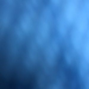 Meet your Posher, Troy